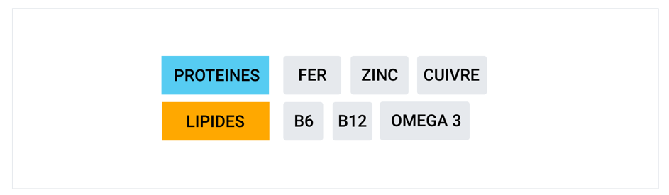 apports nutritionnels proteines